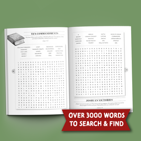 Inspirational Bible Word Search for Adults